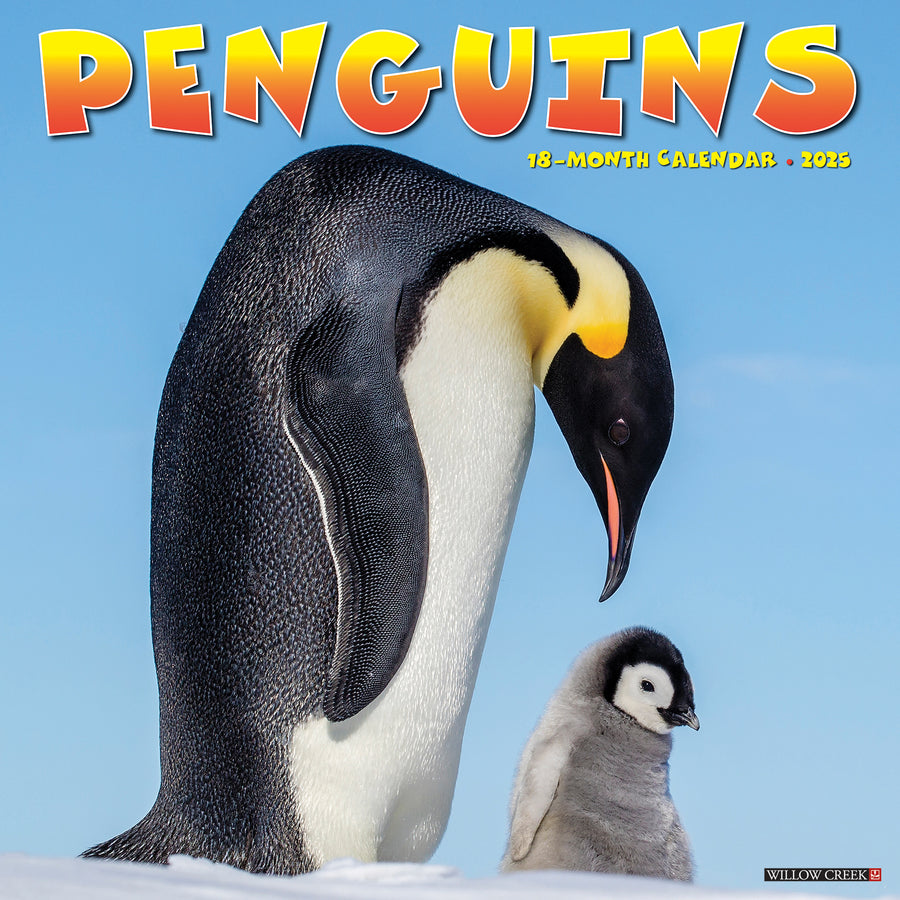 diceeeek クラブハウス　Penguin ネイビー Penguin by Munsingwear 【Penguin by CLUBHAUS】Colour nep
