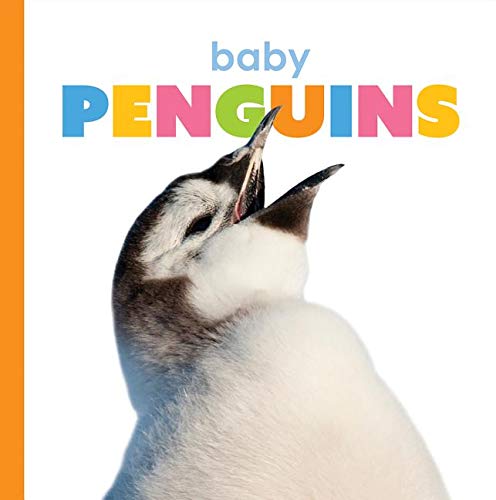 Baby Penguin - Ages 5-7 (24 Pages)