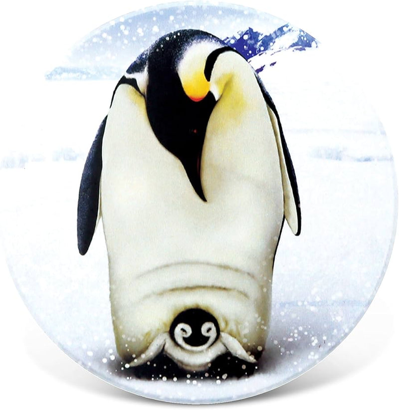 Emperor Penguin & Chick Ceramic Drink Coaster (4" Diameter)