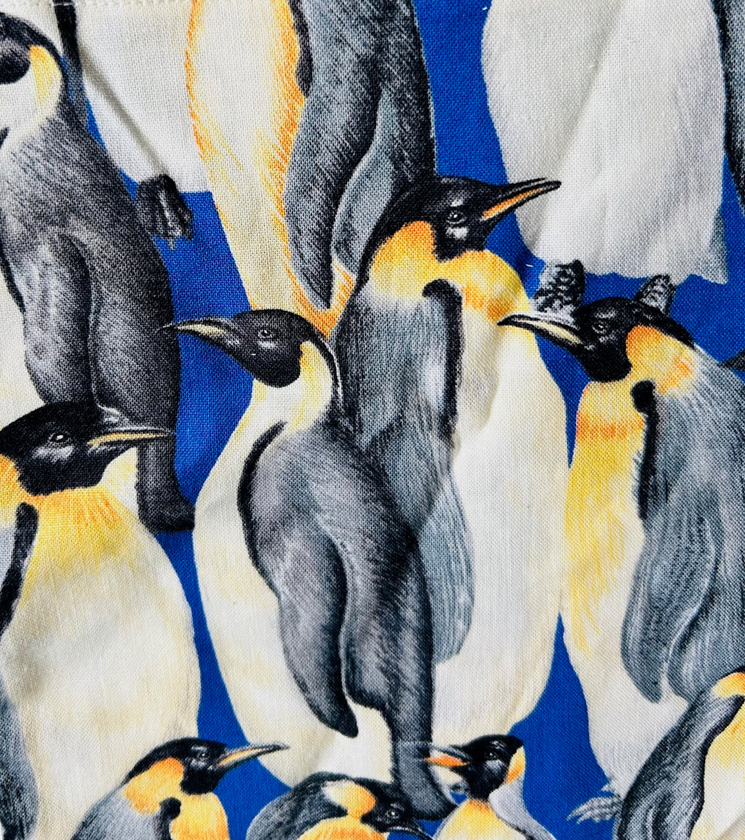 IMG_2714_185a0bfb-dc76-4ab4-