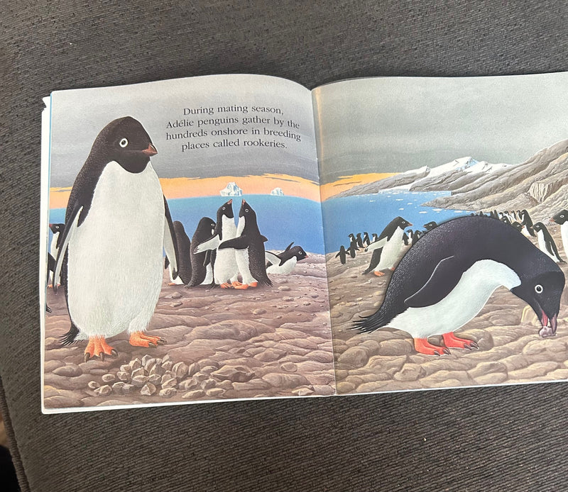 Penguins - A First Discovery Book (softcover 24 pages)