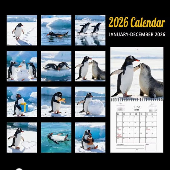 2026 Gentoo Penguins Mini Wall Calendar (opens to 8" x 16")