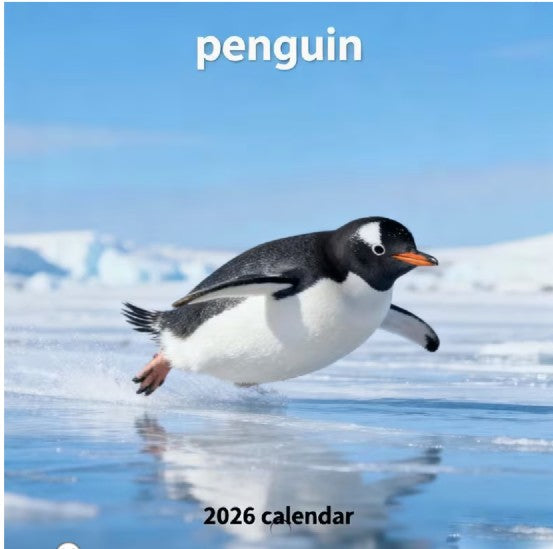 2026 Gentoo Penguins Mini Wall Calendar (opens to 8" x 16")