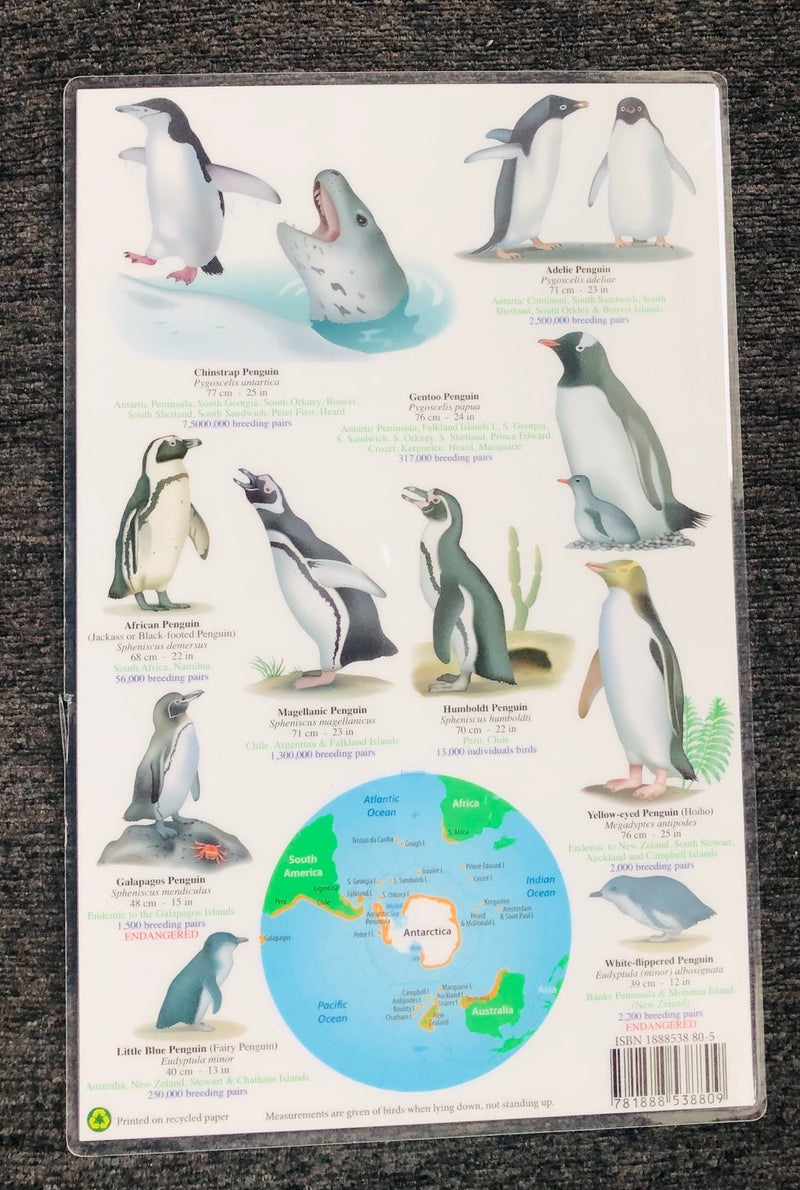 Penguins From Around The World (Laminated Guide 7" x 11" Double Side)