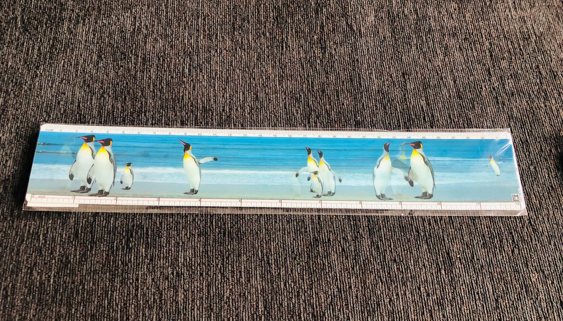 3-D Penguin Waddle Ruler (12