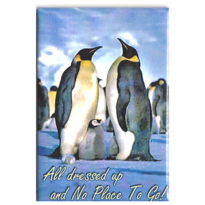 Penguin Magnet, Emperor Penguins, Antarctica, Gift