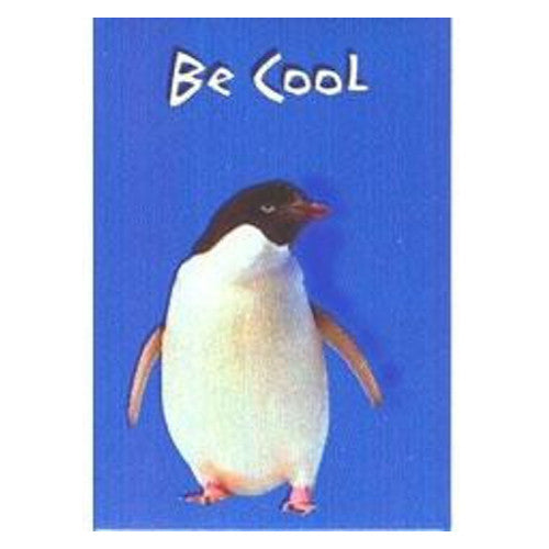 Penguin Magnet, Be Cool, Adelie, Gift, Fridge